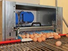 They remain safely under this perch until they are collected manually. As an option, we offer an automatic system for collection of these eggs.
