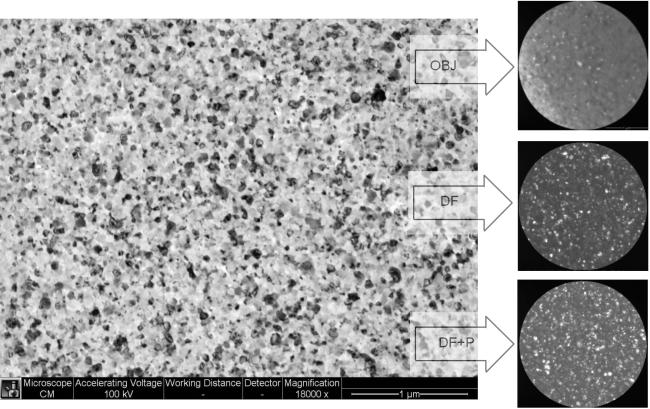 DarkField (DF) module helps to identify crystalline areas on studied material. This is achieved by identifying high brightness areas in TEM image.