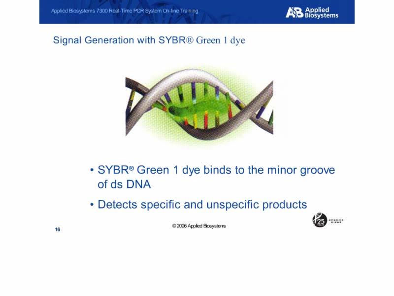 Slide 16 Slide notes: Another technology used to perform real-time PCR is the SYBR Green I dye Assay.
