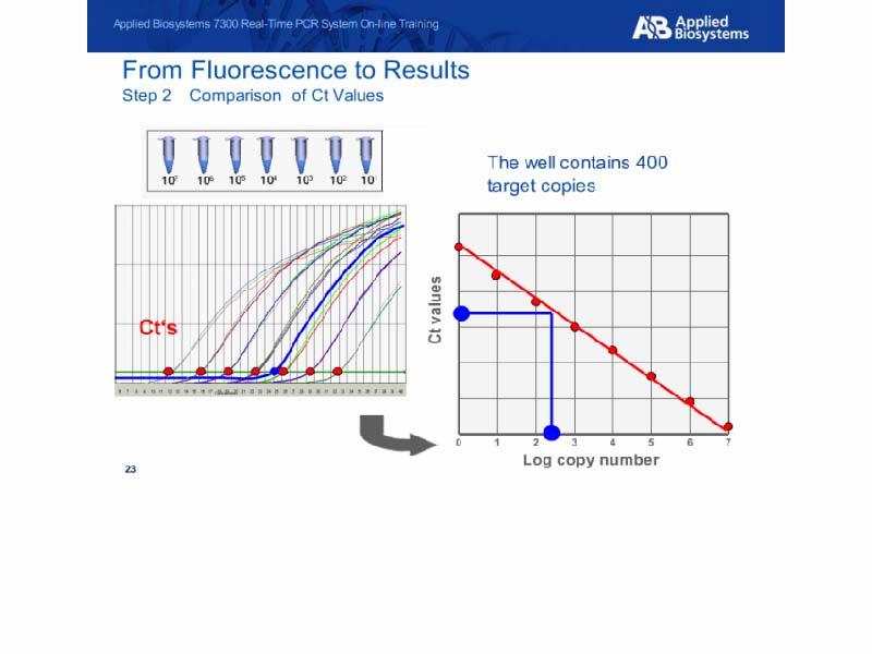 From Fluorescence to Results Step 2 Comparison of Ct Values Slide notes: Step 2 is the comparison of Ct values between samples.