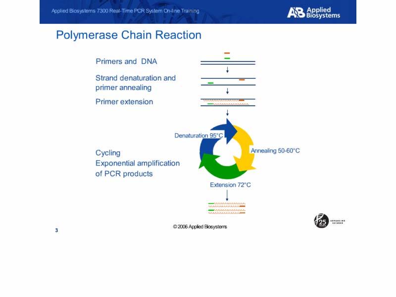Polymerase Chain Reaction Slide notes: Here is a review of PCR, The classic method of amplifying DNA involves 3 steps:. Strand denaturation, Primer annealing, and Primer extension.
