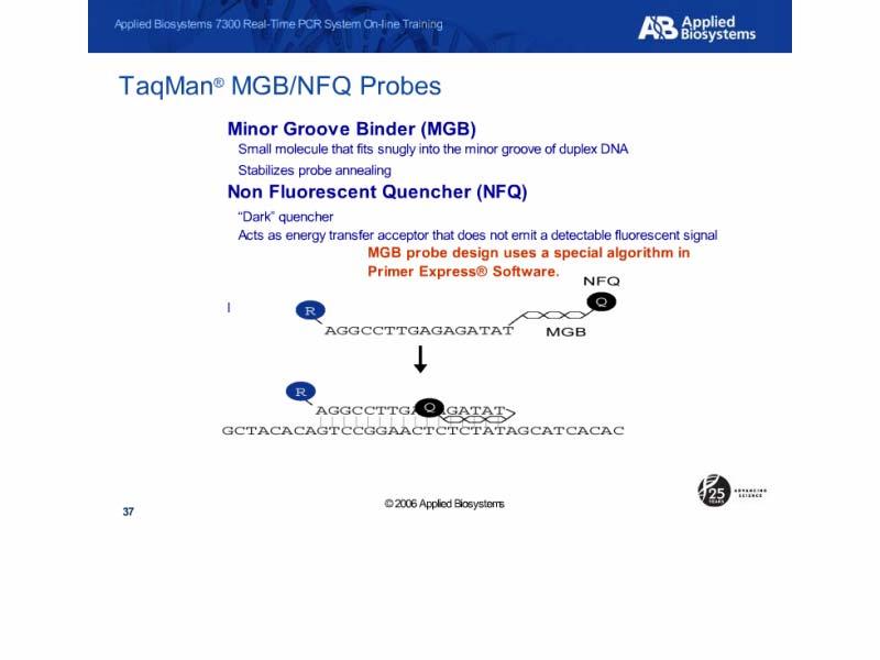 Slide 38 Slide notes: MBG-NFQ probes contain a molecule that binds to the minor groove of the amplicon-probe moiety.