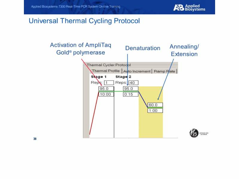 Universal Thermal Cycling Protocol Slide notes: We also use universal Thermal Cycling conditions. 95 degrees for 10 minutes activates the AmpliTaq Gold Polymerase.
