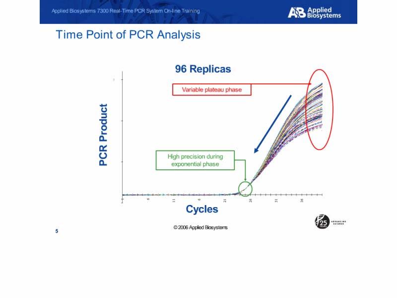 Time Point of PCR Analysis Slide notes: However, the most accurate place to quantify PCR would be in the exponential phase where there is an exact doubling of product.