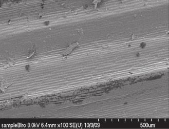 100X magnification (c) Untreated corn stover 300X magnification (d) SC-CO 2 treated corn stover