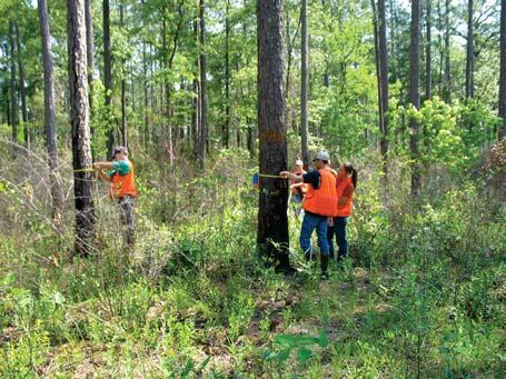 Knowing even a range of costs for forestry practices can help in the decision making process and may lead to better forest management.