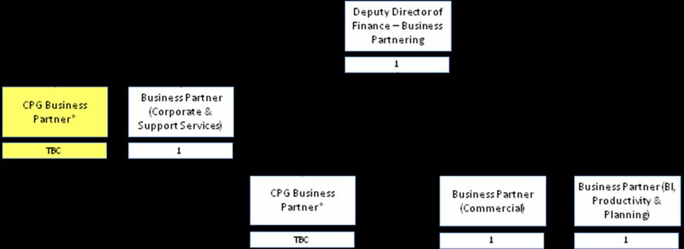 Organisational Structure Key Working Relationships: Deputy Director of Business Partnering Other Business Partners Senior Business Analysts Business Analysts Financial Analysts Income team CPG /