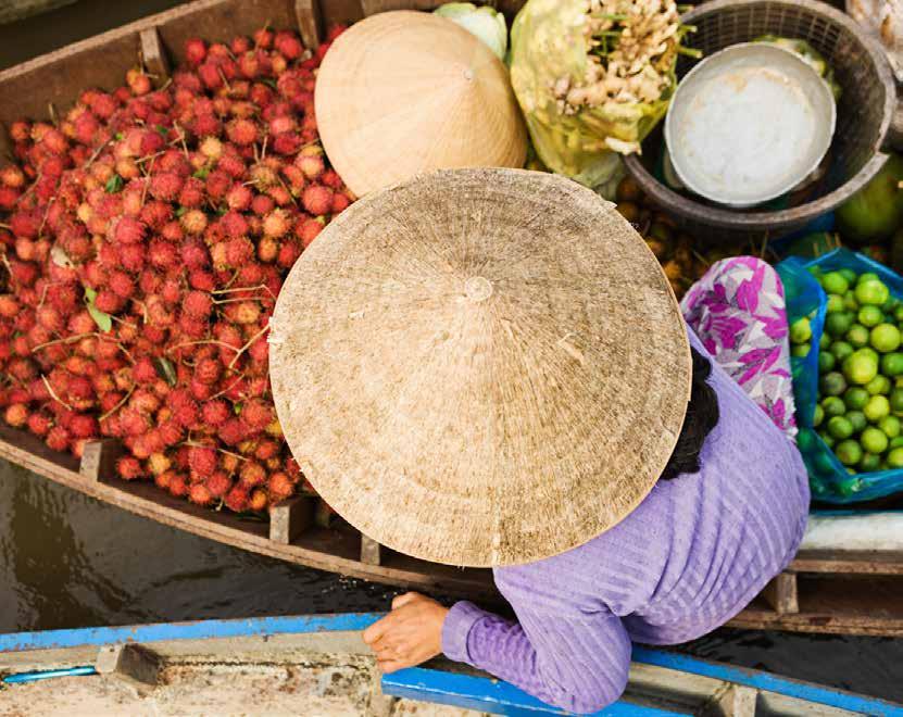 TRANSFORMATION IN ACTION Vietnam: Taking Value Chain Innovations to Scale through Public-Private Collaboration In Vietnam, the coffee value-chain working group has been successful using a