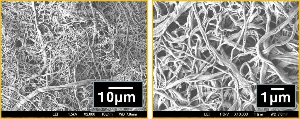 SEM of nanofibers