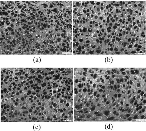 Microscopy images of the NR samples foamed at 150 o C as a function of filler content: (a), (b), (c), and (d) refer to NF-1, NF-2, NF-3, and NF-4, respectively.