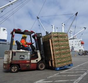 Mission To be the preferred port for specialized cargo and