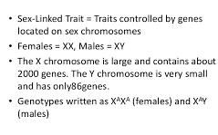 Sex Linked Gene: any gene that is