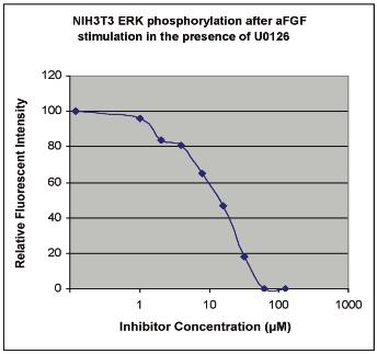 The graph demonstrates the inhibitory effect of the MEK inhibitor U0126 as determined through the detection of ERK phosphorylation (Thr202/Tyr204) within an In-Cell Western assay.