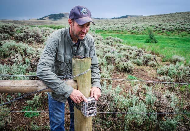 3. ENHANCING ECOSYSTEM RESILIENCE To address these challenges, the Gunnison Climate Working Group (GCWG), a public-private partnership preparing for change in the Gunnison Basin, has been working