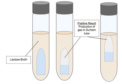 Figure 2. Diagram showing the test results for a Presumptive test with E.