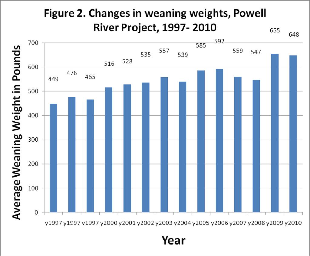 Figure two shoes thaat weaning weights have been continually improving throughour the project. Weights have decreaased during a few years beacause of dry condtions.