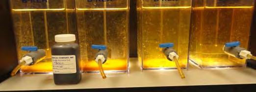 Bench-scale testing Optimized jar testing results Coagulant Coagulant Dosage (mg/l) Target ph ph Turbidity (NTU) Settled Filtered (2) Filterability Index Raw Water - - 7.7 2.84 3.6 PCH 182 80 6.5 6.