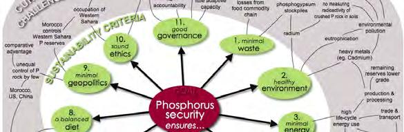 FROM PHOSPHATE SCARCITY TO PHOSPHORUS SECURITY SUMMARY: THE TAKE HOME MESSAGES (1) > Phosphorus is vital for all life on earth no substitute!