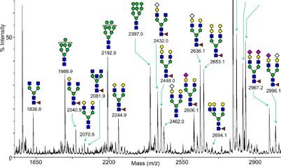 and Lipidomics GC-MS NMR Glycan arrays, Glyco-gene chips, mass spec / NMR of carbohydrates ESI-MS/MS Joyce Palsson, 2006 and Lipidomics and Lipidomics : Large-scale measurement of cellular