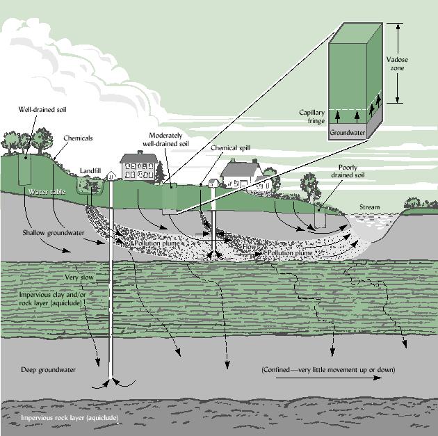 SUBSURFACE WATER MOVEMENT Relationship of the water table and