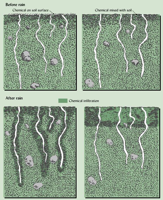 BYPASS FLOW IN MACROPORES Preferential or bypass flow in macropores transports soluble chemicals downward
