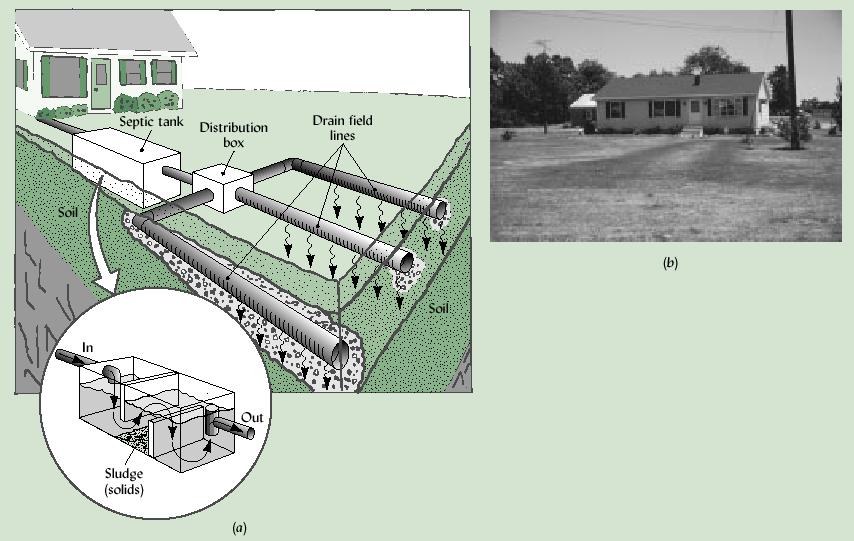 SEPTIC TANK AND DRAIN FIELD Wastewater stimulation of lawn grass from