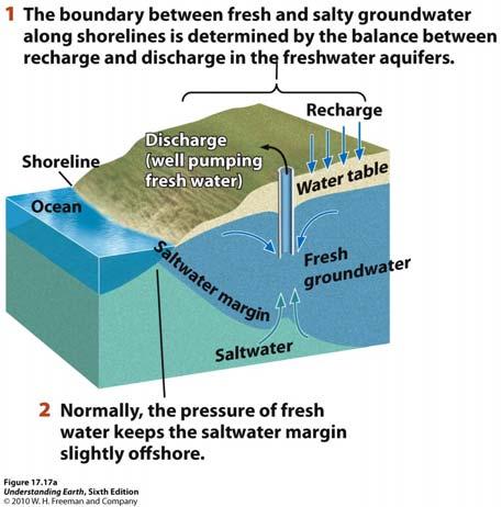 Groundwater: Excess discharge and the movement of salt water.