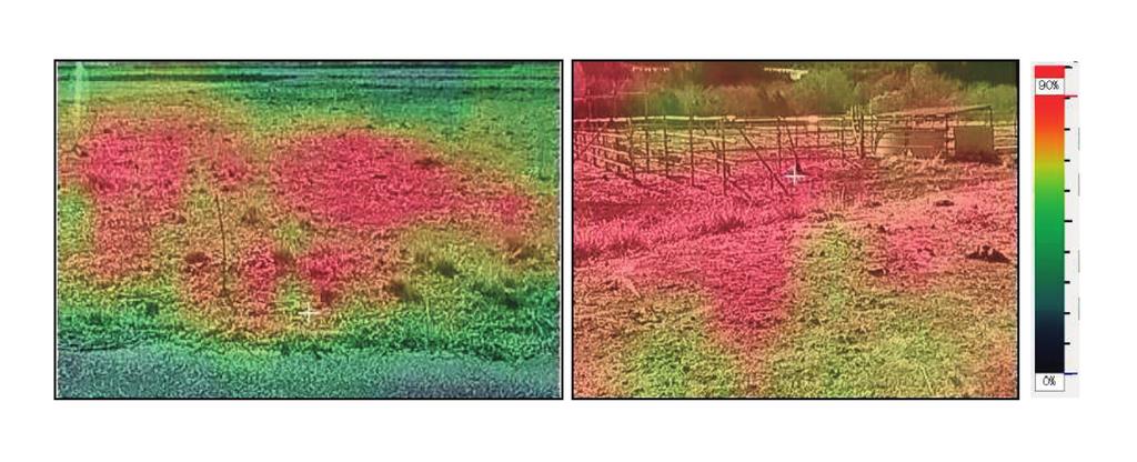 98 Variation of soil contamination with Cs Fig. 5. Gamma ray photographs at this farm. The color expresses relative intensity of gamma ray. radioactivity is relatively high.