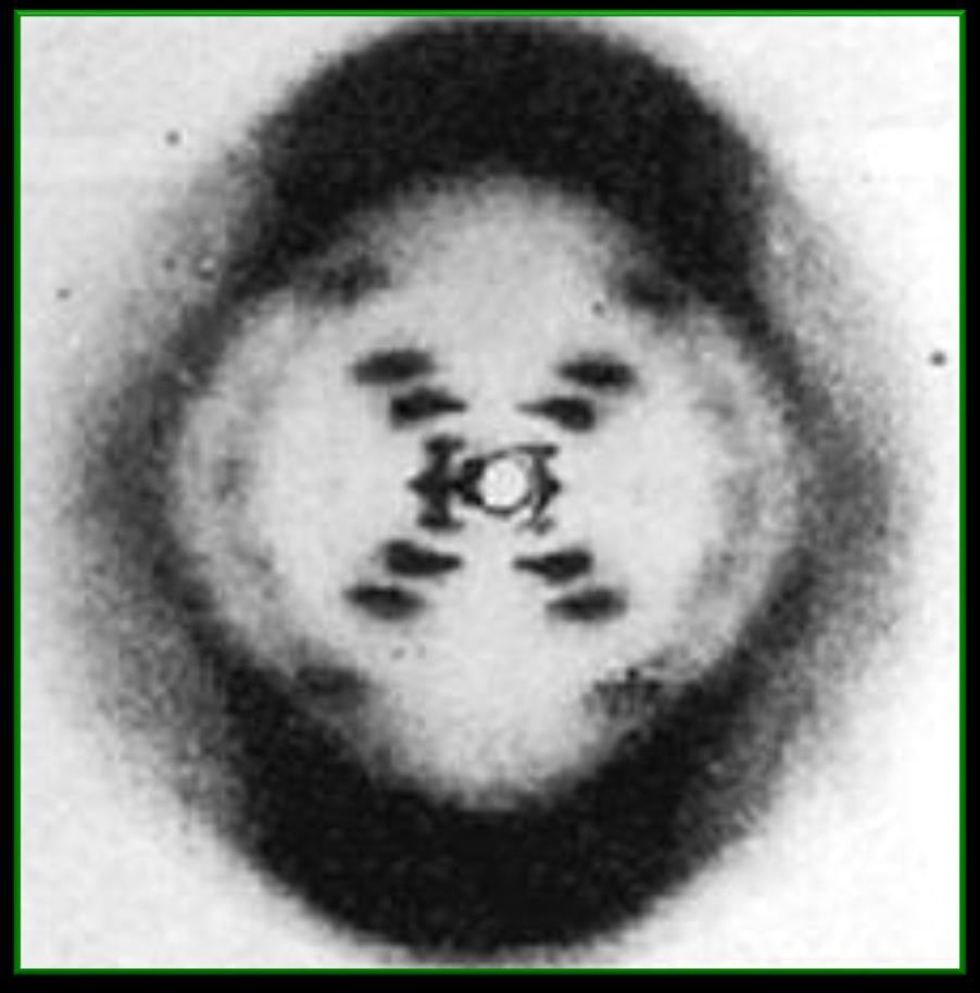 Franklin s X-Ray Diffraction By itself, these x-rays did not reveal the structure of the DNA