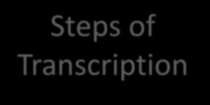 Steps of RNA polymerase binds to a site on the DNA molecule called the. promoter Transcription RNA polymerase: Separates the DNA strands. Single stranded RNA One strand of DNA is used as a template.