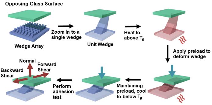 3. FABRICATION AND TESTING OF A DIRECTIONAL REVERSIBLE DRY ADHESIVE SURFACE 3.1 Overview of Device Figure 7. Overview of the process of wedge preload deformation and adhesion testing.