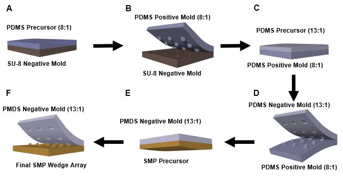 polymer compared to the standard 10:1 ratio, as to prevent the protruding PDMS wedges from sticking to adjacent wedges.