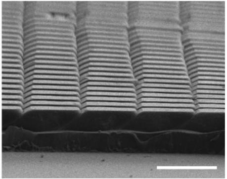 the micro-wedge array after its shape recovery was too small to be properly quantified using the testing setup, of which the measurable adhesive strength is 0.02 lb (about 0.