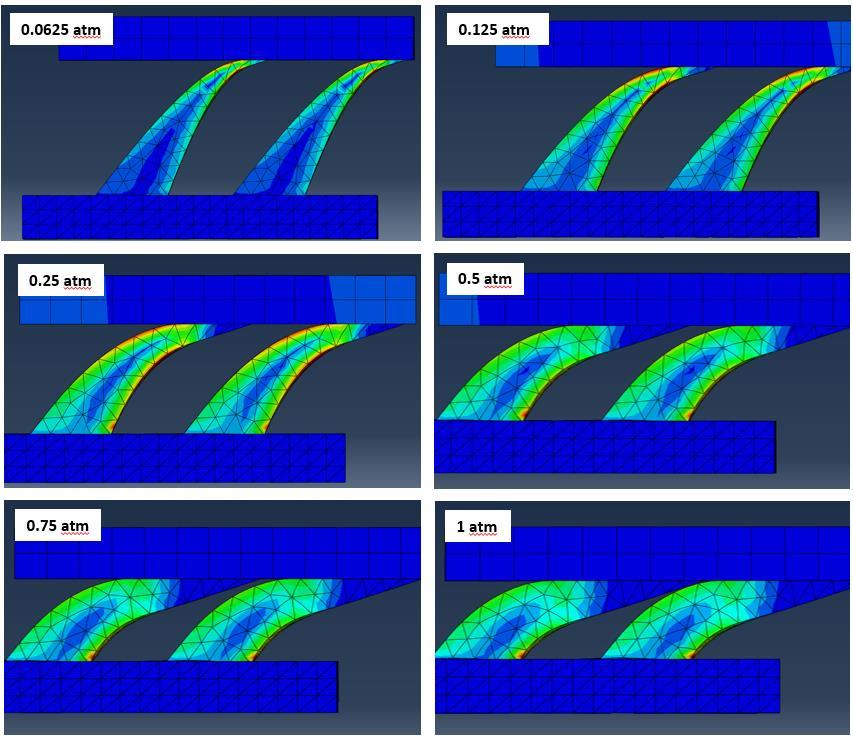 4.2 Results of FEA Modeling of Adhesion Strength Because there are 10 total cold-state configurations, corresponding to the 10 different applied preloads tested from 0.
