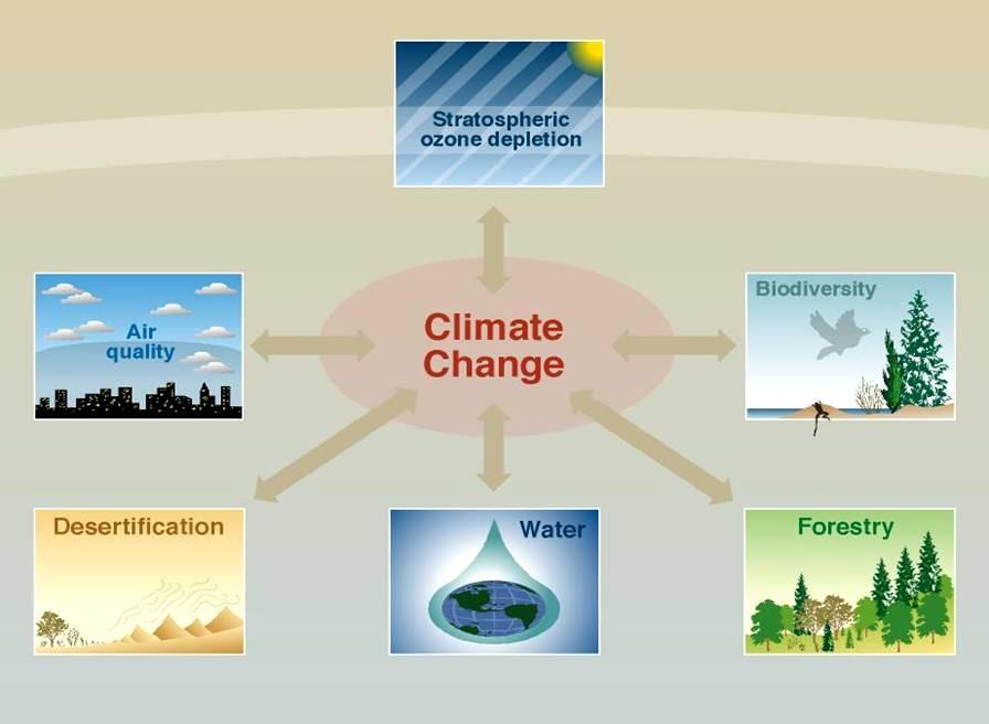 CLIMATE CHANGE & OTHER