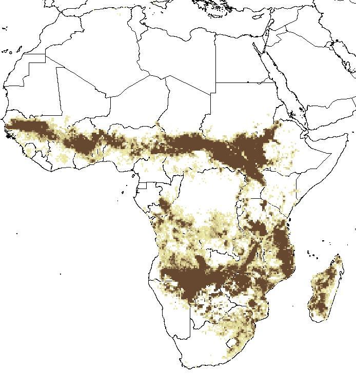Burning Biomass Activity Data Activity data from georeferenced data Organic soils map (HWSD) Land Cover map (GLC 2000) Burned