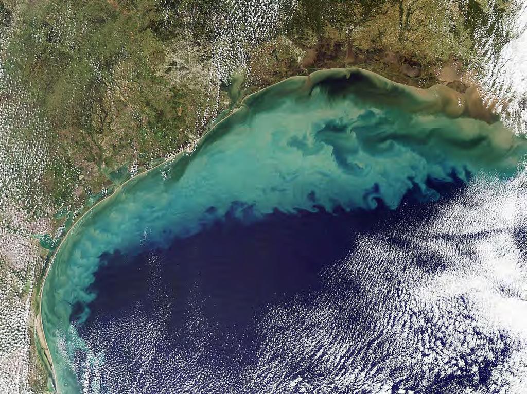 NASA Introduction The Gulf of Mexico is a very large, biologically diverse and highly productive marine and estuarine ecosystem bounded by the U.S., Cuba and Mexico.