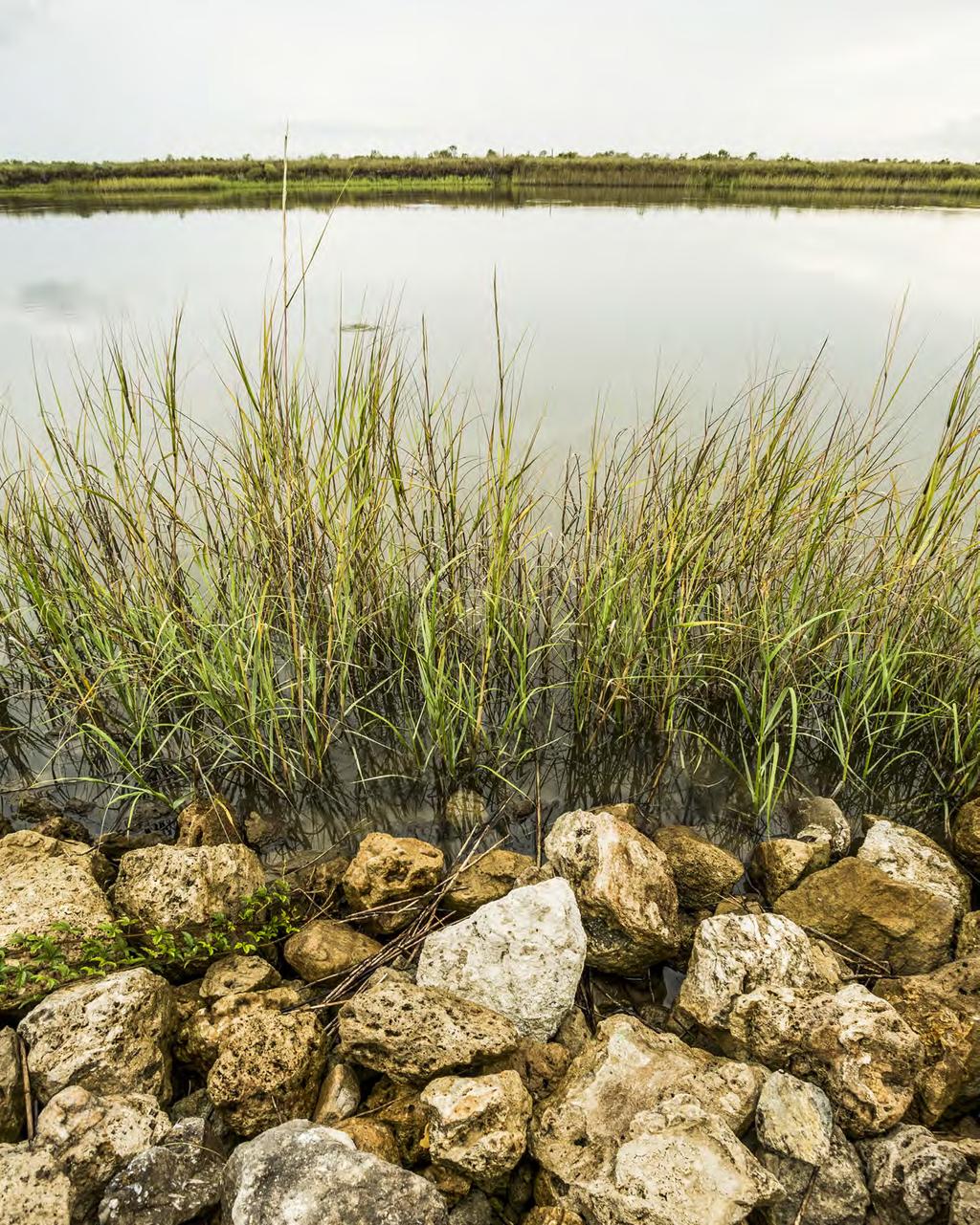 JEROD FOSTER/TNC $1.9 billion goes to the states and counties for ecological and economic restoration (Bucket 1). $1.6 billion goes to the Gulf RESTORE Council for support of environmental restoration projects across the Gulf (Bucket 2).