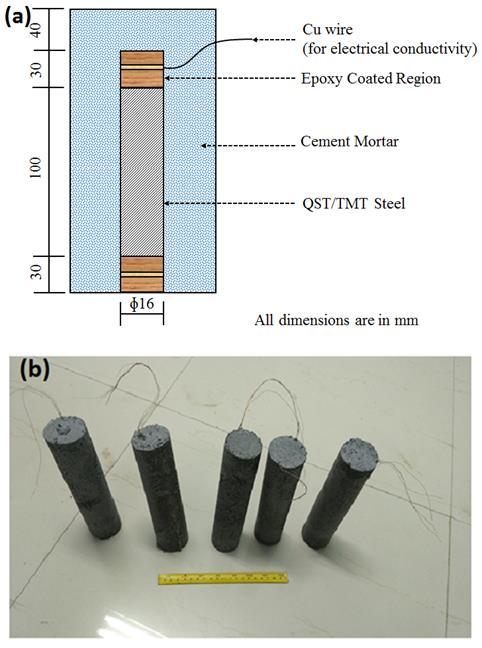 3.1 Setup for corrosion rate measurement The specimens were subjected to alternate wet and dry cycle (2 days wet and 5 days dry cycle) to accelerate the diffusion of chloride to the surface of steel.