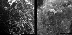 uniform (bundles) coating of MWCNTs all over the steel substrate. Figure5.a) TEM image of MWCNTs; b)representative SEM image a) of MWCNT formed b) over mild steel substrate.