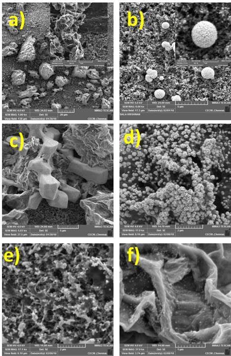 and Pt nanoparticles of 250 nm were achieved on graphene oxide coated GDL which showed that GDL has a major influence in morphology.