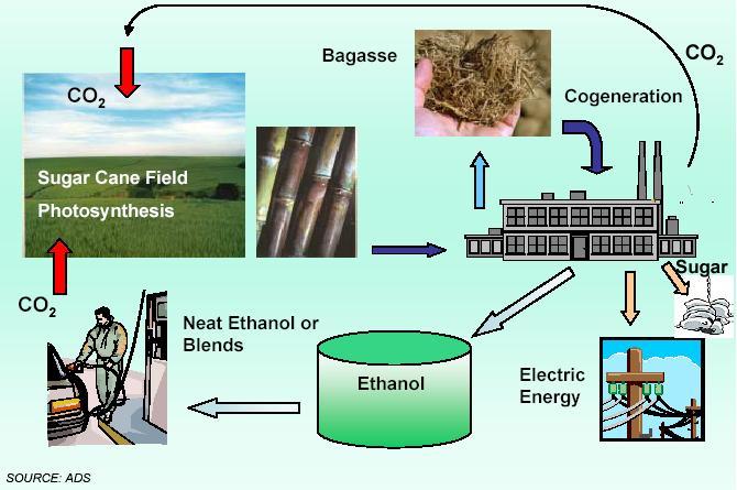 CO2 Cycle of Ethanol