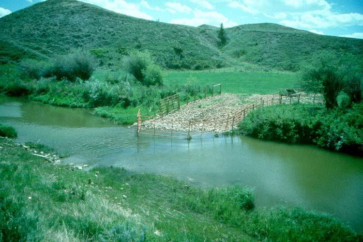 Riparian Areas With grazing management strategies such as: Altering livestock distribution Animal access to water Control the timing of grazing when riparian areas