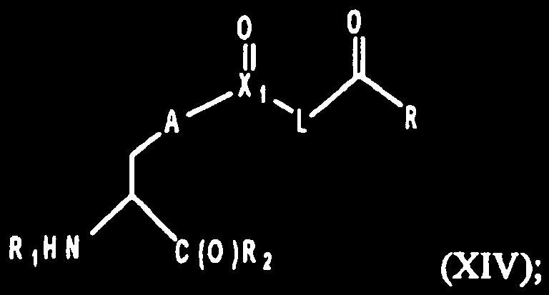 Lisaks on kaasatud järgnevad aminohapped, mille struktuur vastab valemile (XIV): milles: A on valikuline, olles olemasolu korral madalam alküleen-,