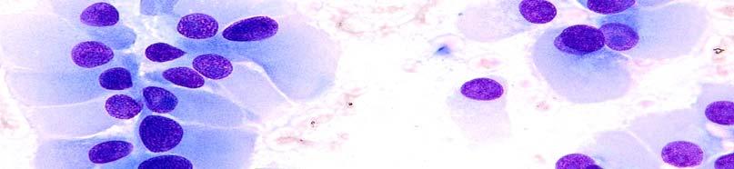 Optimal reproducible staining pictures are accomplished by the application of buffer solutions according to Weise.