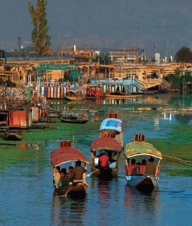tropics Illustration of Dal Lake, India (Kashmir), has shrunk to