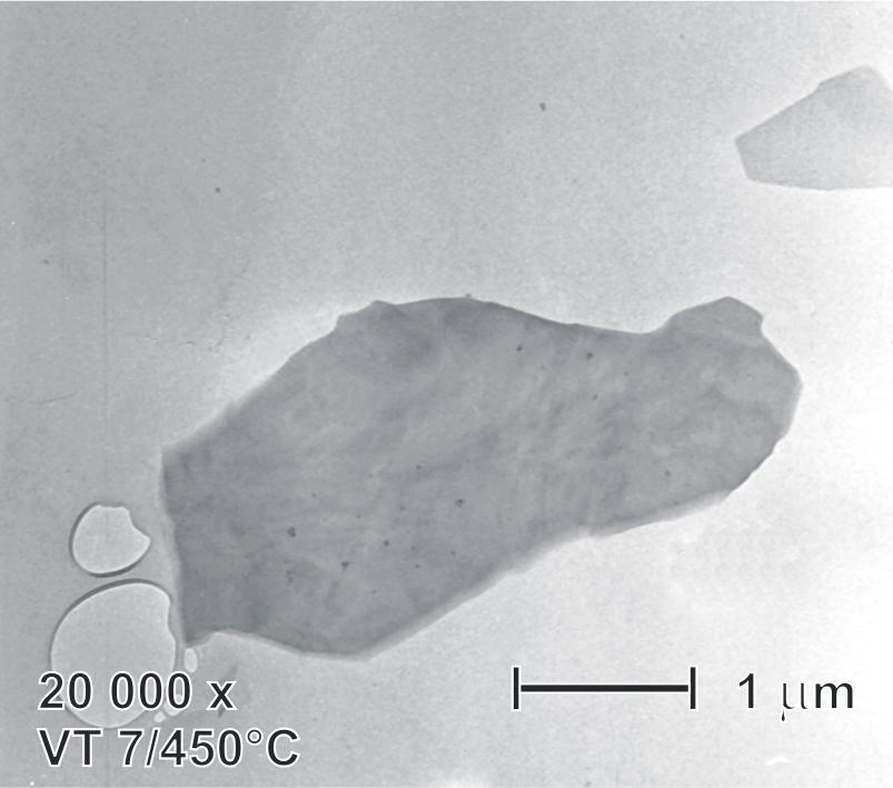 The as-prepared deposit is very compact and transmission electron microscopy shows that it forms a flat plates (Fig. 1a).