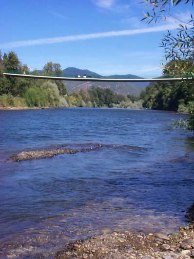 Section 1.0 Introduction and Overview 1.1 Introduction The Rogue River has one of the healthiest fish runs on the west coast of the United States.