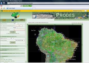 real-time Deforestation Detection with MODIS (Support for Law