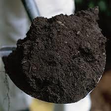 CLICK SOIL TO ORGANIC EDIT MASTER MATTER TITLE AND YOU STYLE Organic matter is dead stuff, plant or animal, that is rotting Organic matter provides food and living space for microbes, fungi and worms.